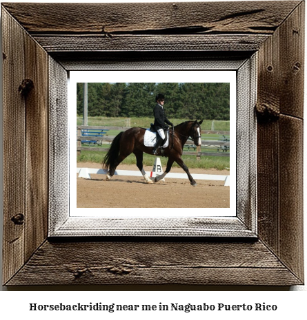 horseback riding near me in Naguabo, Puerto Rico